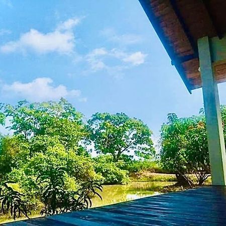 Thihawa Eco Huts Yala Bed & Breakfast Тисамахарама Екстериор снимка