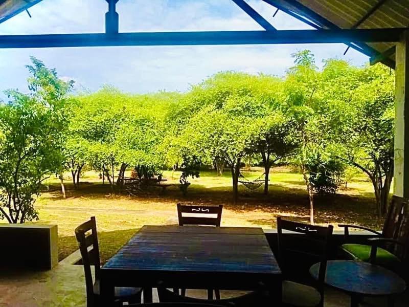 Thihawa Eco Huts Yala Bed & Breakfast Тисамахарама Екстериор снимка