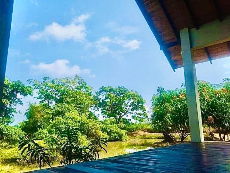 Thihawa Eco Huts Yala Bed & Breakfast Тисамахарама Екстериор снимка