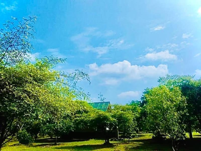 Thihawa Eco Huts Yala Bed & Breakfast Тисамахарама Екстериор снимка