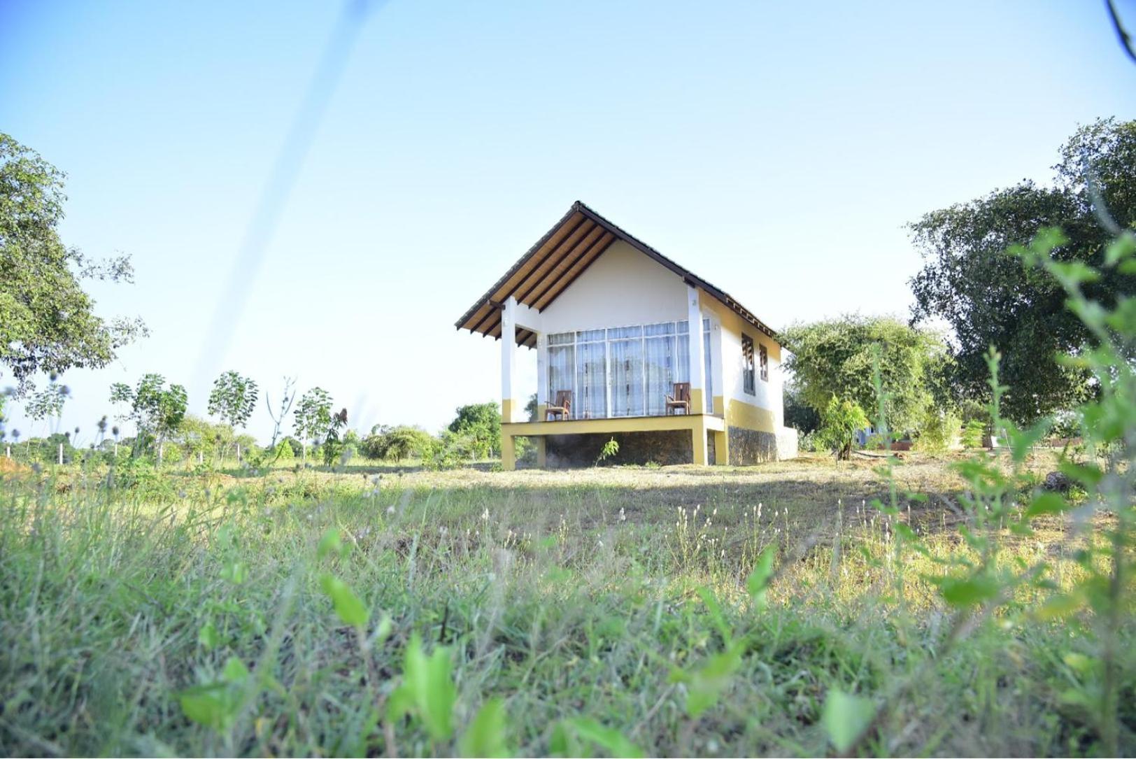 Thihawa Eco Huts Yala Bed & Breakfast Тисамахарама Екстериор снимка