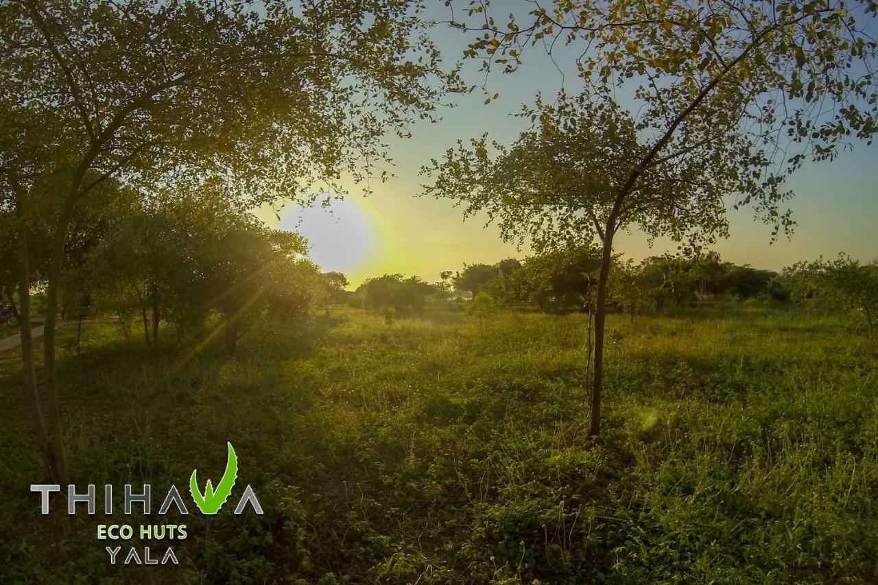 Thihawa Eco Huts Yala Bed & Breakfast Тисамахарама Екстериор снимка