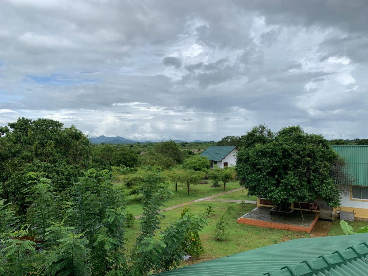 Thihawa Eco Huts Yala Bed & Breakfast Тисамахарама Екстериор снимка